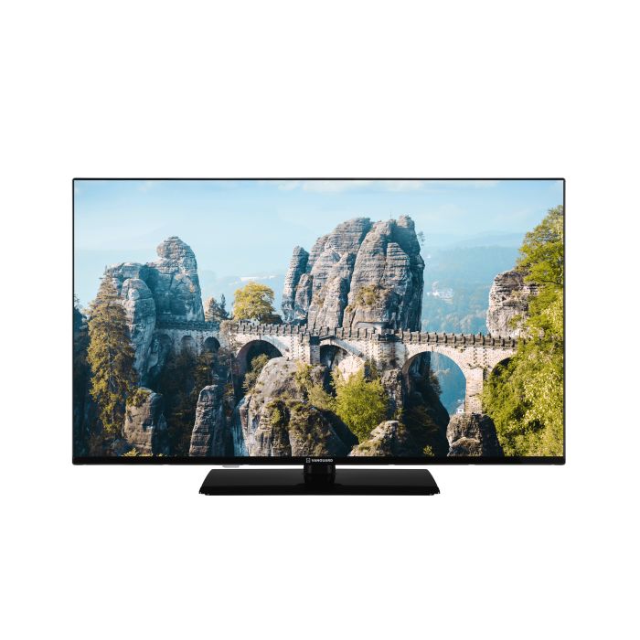 TV LED 43